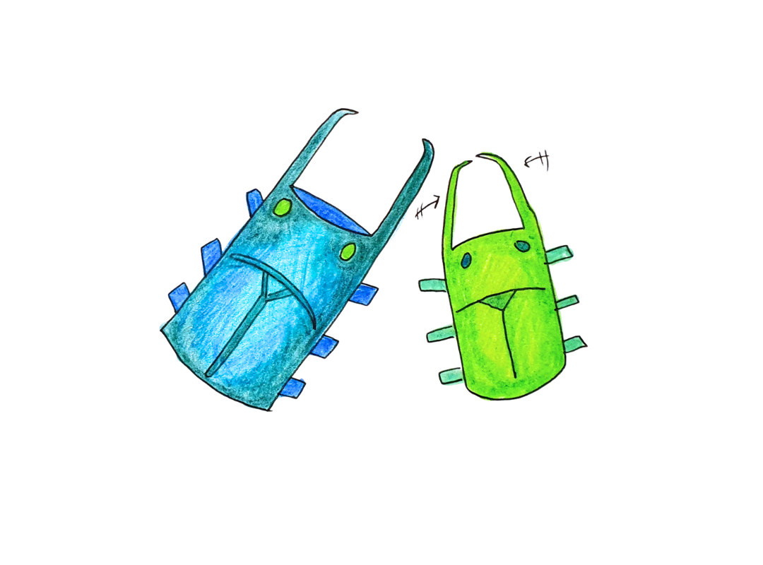 Cerf-volant à pinces - 4 ans et plus - Lundi 29 décembre 11h30