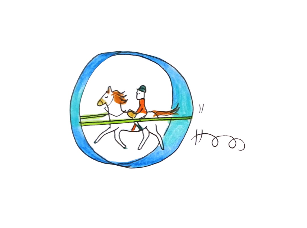 Cheval trotteur - 4 ans et plus - Mardi 30 décembre 17h