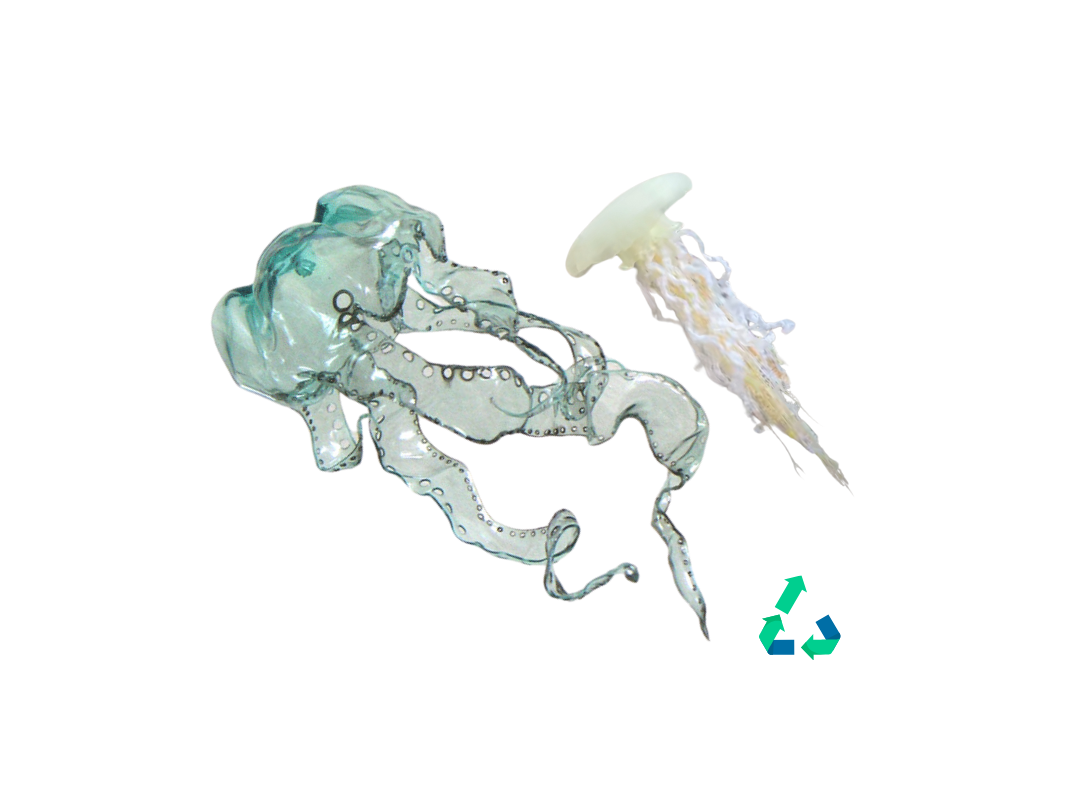 La Méduse suspendue - 6 ans et plus - Mardi 27 août à 17h