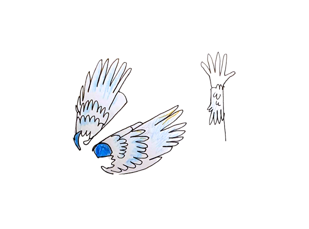 Manchettes d'Hermès - samedi 12 avril - 2/5 ans