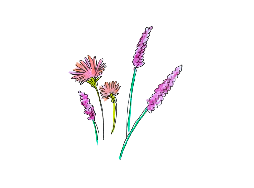 Fleurs en laine et feutrine - 4 ans et plus - Mercredi 26 ou samedi 29 mars