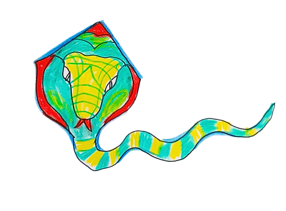 Cerf-volant serpent - Mercredi 5 février 14h30 ou 17h30 et samedi 8 février 14h ou 15h