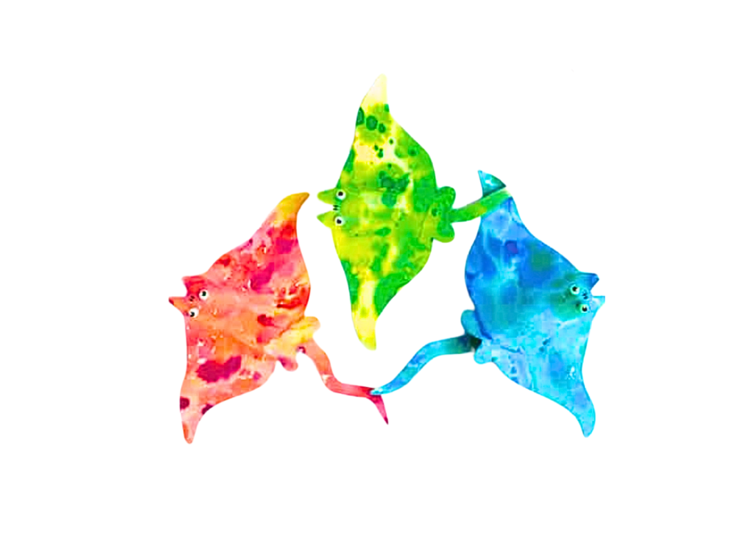 La Raie - 2/4 ans - Lundi 26 août à 9h30 ou 16h