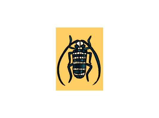 Mosaïque coléoptère - 4 ans et plus - Lundi 6 juillet 15h ou Mercredi 8 juillet 17h