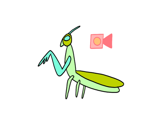 Stop motion "Mystère chez les insectes !" - À partir de 7 ans - Samedi 11 juillet 10h30 ou 11h30